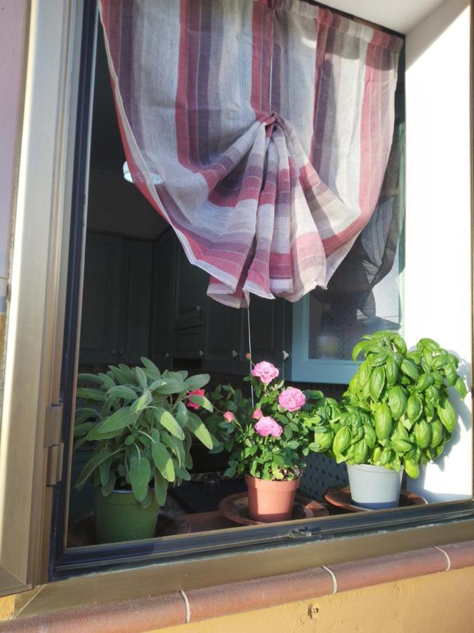 La Casa Di Aldo Daire Perugia Dış mekan fotoğraf